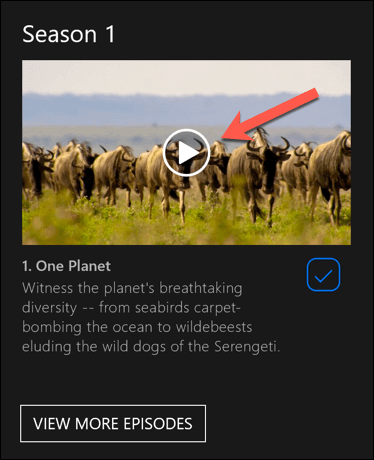 Netflix-Windows-Play-Downloaded-Content - Online Tech Tips How To Download From Netflix On Windows image 6 - Netflix-Windows-Play-Downloaded-Content