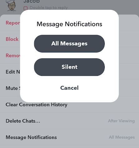snapchat-message-notifications - Online Tech Tips Change Snapchat Settings image 5 - snapchat-message-notifications